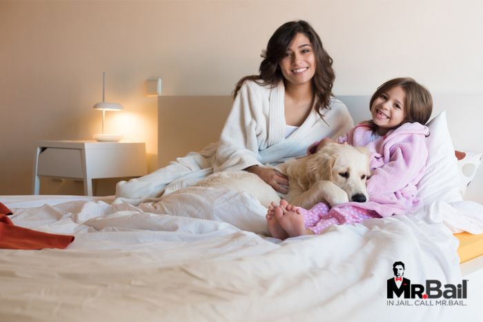 colorado bail bonds